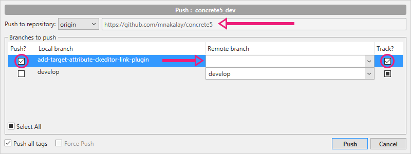 sourcetree-push-to-remote.png