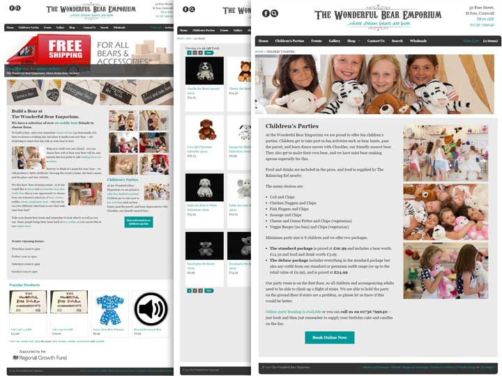 Case study - The Wonderful Bear Emporium